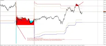 07.webp