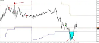 10.webp
