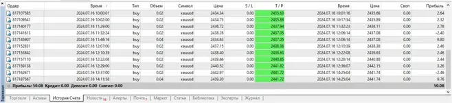21.webp