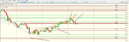 1732785686299.webp 1732785686299.webp