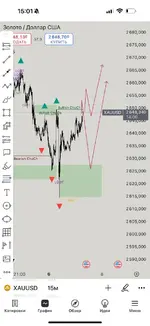 IMG_20250107_153026_335.webp IMG_20250107_153026_335.webp