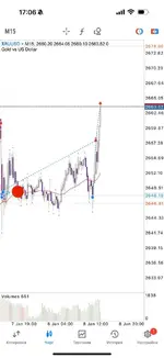 IMG_20250108_171548_812.webp IMG_20250108_171548_812.webp