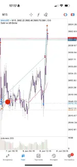 IMG_20250108_174234_633.webp IMG_20250108_174234_633.webp