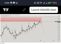 Screenshot_2025_0110_135042.webp Screenshot_2025_0110_135042.webp