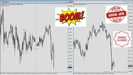 Screenshot_5.webp Screenshot_5.webp