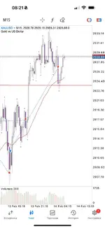 IMG_20250214_125323_617.webp IMG_20250214_125323_617.webp