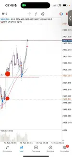 IMG_20250214_125319_711.webp IMG_20250214_125319_711.webp