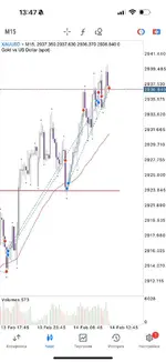 IMG_20250214_141955_968.webp IMG_20250214_141955_968.webp