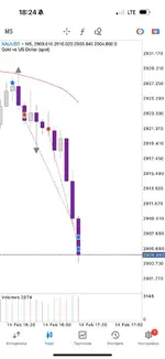 IMG_20250215_073445_733.webp IMG_20250215_073445_733.webp