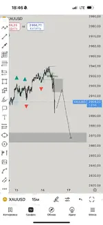 IMG_20250215_073451_909.webp IMG_20250215_073451_909.webp