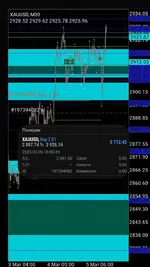 1741196841392.webp