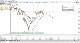 1741424867163.webp 1741424867163.webp