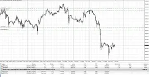 algorithmxr-screen-5603.webp