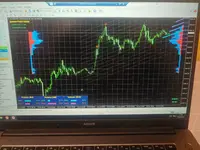17500126765388523058832854381929.webp