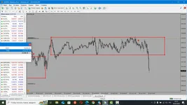 1753933938479.webp 1753933938479.webp