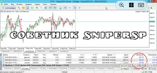 1754911912343.webp 1754911912343.webp