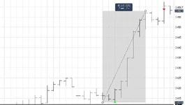 photo_2025-08-31_16-31-26 (2).webp
