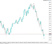 photo_5350498403286644191_y (1).webp