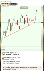 photo_2025-10-08_19-39-44 (7).webp