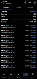 Screenshot_20260212_172902_MetaTrader 5.webp