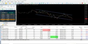 Screenshot_2.webp