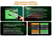 1781686613198.webp