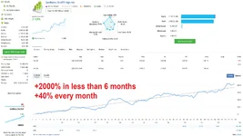 GoldBaron-XauUsd-EA-***-Live-Performance-Signal.webp