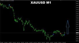sr-liquidity-screen-4736.webp