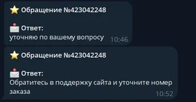 11.webp