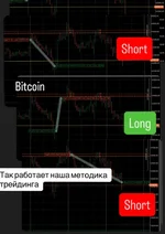 11.webp