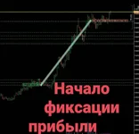 10.webp