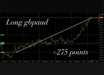 11.webp