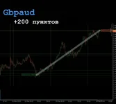 13.webp