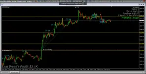 btc live.webp