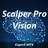 [P] Scalper Pro Vision v1.0 [Кирилл Боровский]