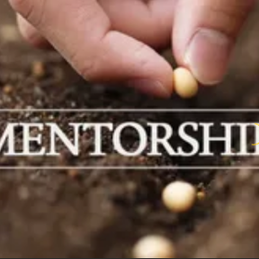 HST Mentorship