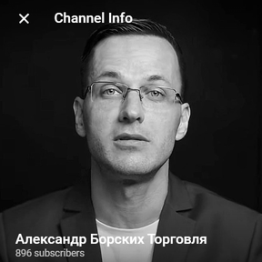 Видеокурс с возможностью практики [Александр Борских]