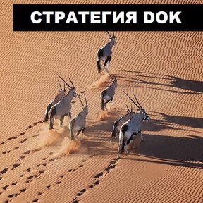 Торговая Стратегия DOK