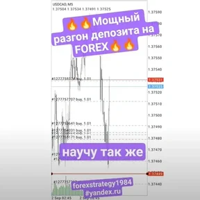 Разгон депозита. Торговля против толпы