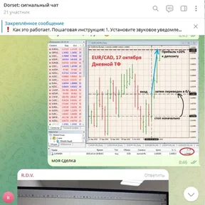 Метод Дорсета (Крупный игрок) сигнальный чат