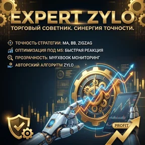 Expert Zylo