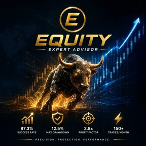 Equity