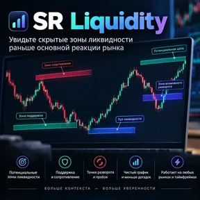 SR Liquidity